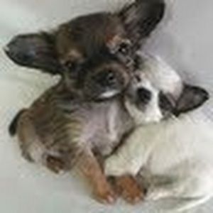 Meet your Posher, Eloisa